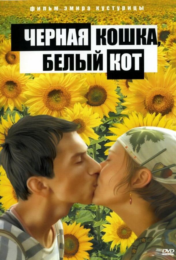 Черная кошка, белый кот 1998 Смотреть Онлайн Бесплатно в Хорошем Качестве